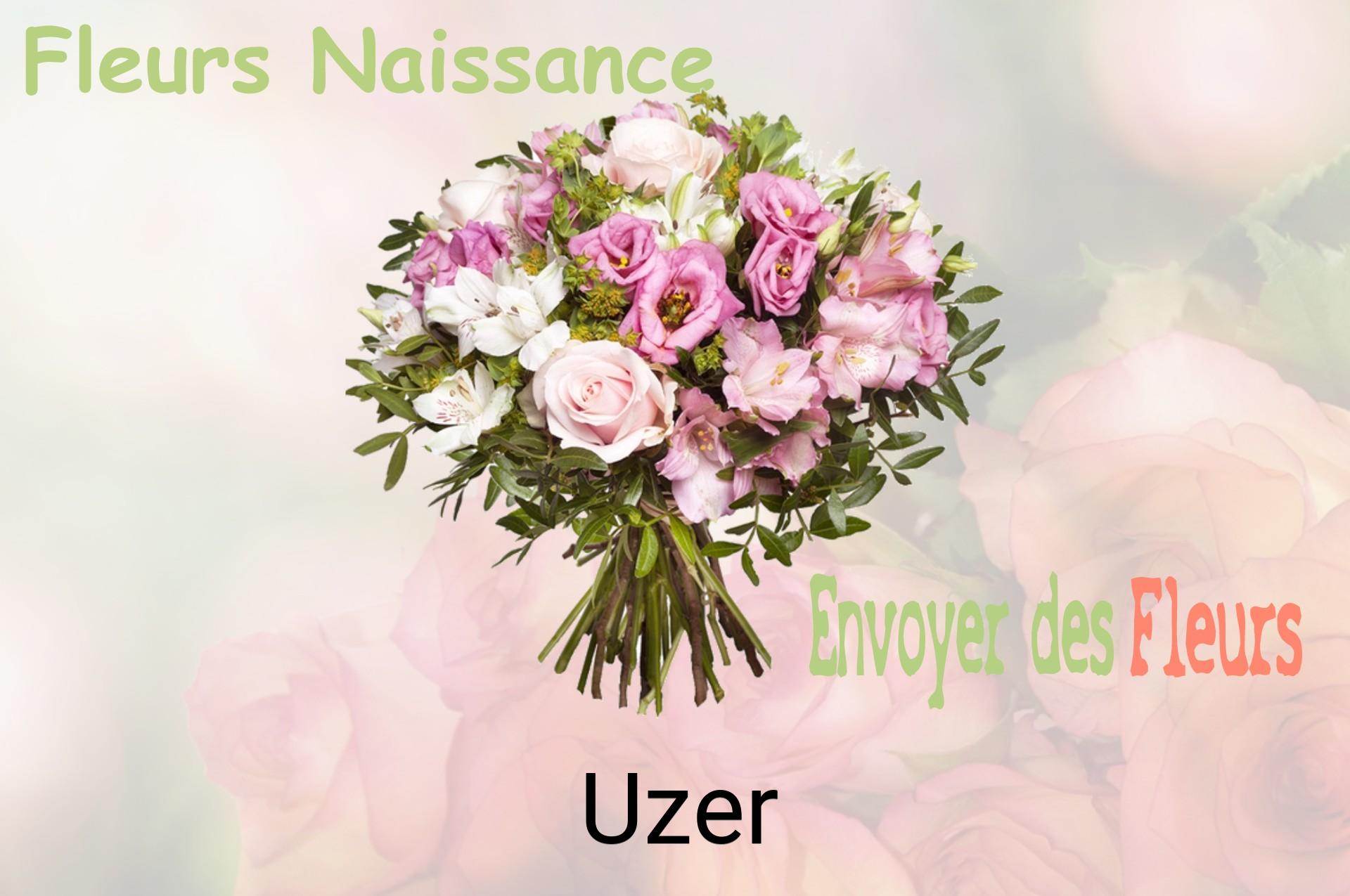 Bouquet de fleurs de naissance livré à Uzer